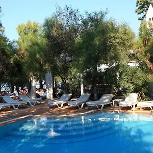 Okaliptus Hotell